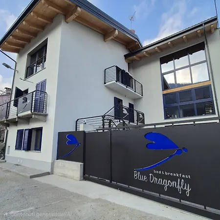 Blue Dragonfly Paesana