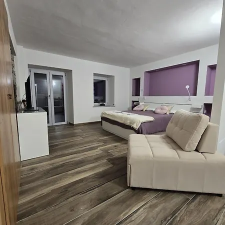 Couette-café Blue Dragonfly