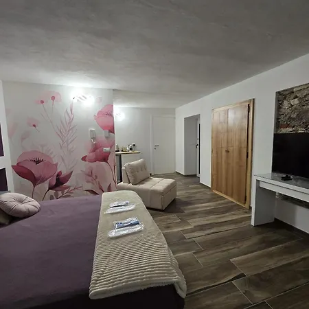 Blue Dragonfly Paesana