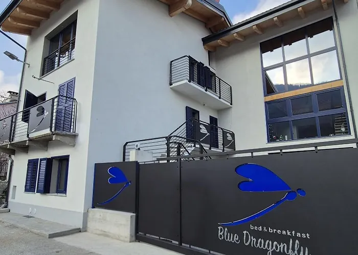 Blue Dragonfly Paesana