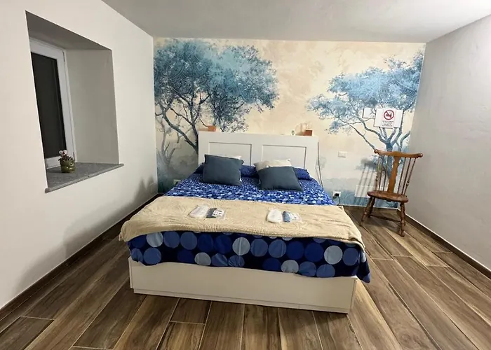 Blue Dragonfly 住宿加早餐酒店 3*