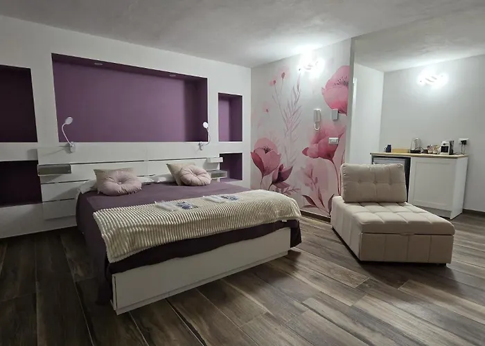 Blue Dragonfly 住宿加早餐酒店 3*